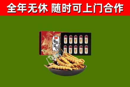 陆河回收冬虫夏草价格