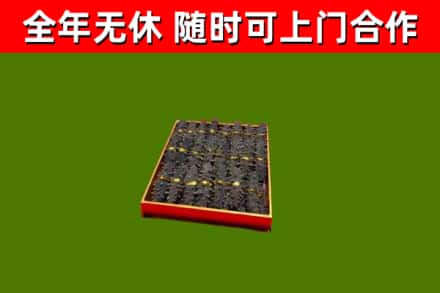陆河回收海参